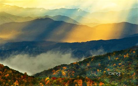 Free download wallpapers bing theme of photography mountains white wildflowers bing [1280x800 ...