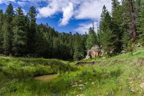 Coconino National Forest - Flagstaff Pulliam Airport (FLG) - Flagstaff, Arizona