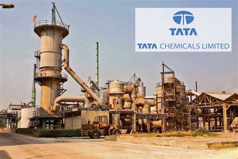 Fundamental Analysis Of Tata Chemicals - Financials, Future Plans & More