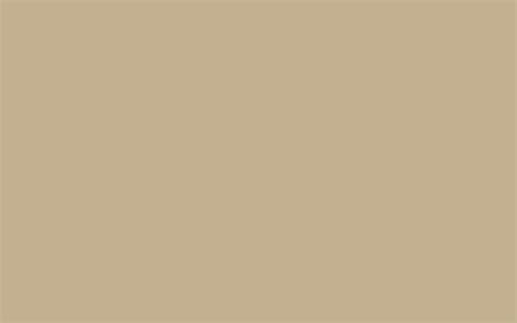 2560x1600 Khaki Web Solid Color Background
