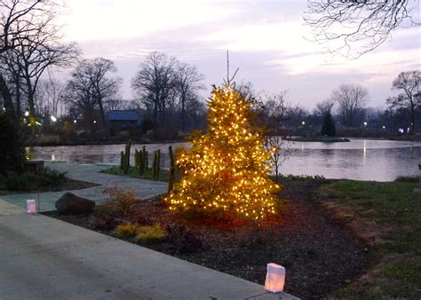 Wellfield Botanic Gardens Lights – Beautiful Flower Arrangements and Flower Gardens