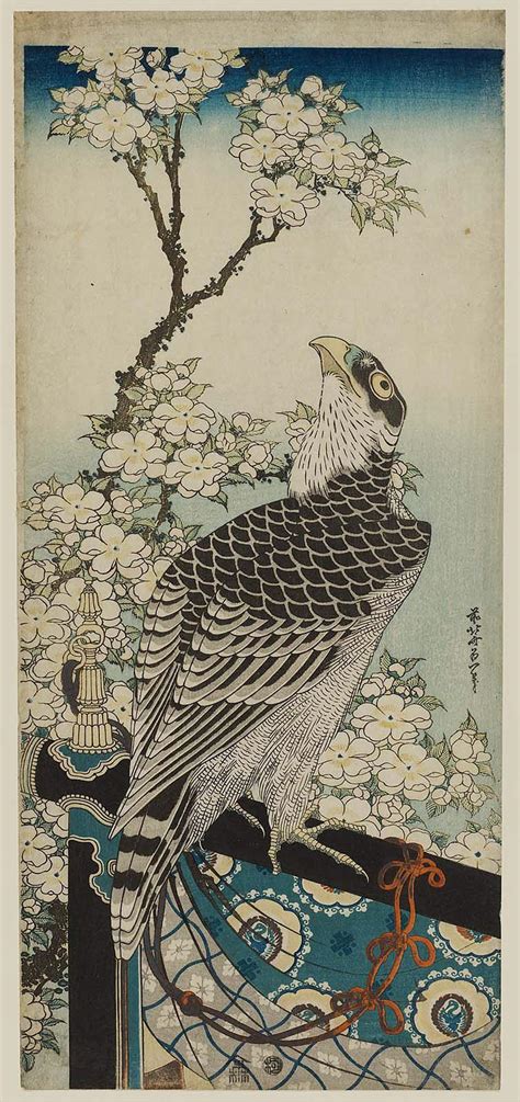 Hawk and Cherry Blossoms, Hokusai, 1834, [754 x 1600] : r/EasternAesthetics