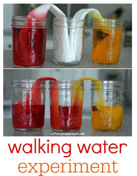 Walking Water Science Experiment For Kids. 😱 | Trusper