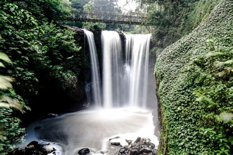 Menjelajahi Keindahan Taman Hutan Raya Ir. H. Djuanda di Bandung