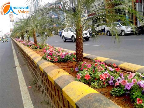 Beautiful Capital City, Beautiful Bandar Road with Blooming Flowers | News