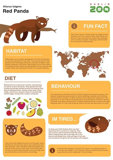 animal infographics for children to learn about zoo animals | Animal infographic, Red panda ...