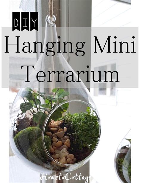 Hanging Terrarium