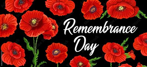 Remembrance day poppy flowers, Anzac day national memorial, vector ...