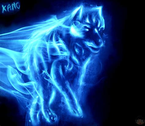 Wolf patronus - Harry potter by gudikano on DeviantArt