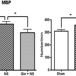 Structure of the representative ginsenosides in ginseng. | Download ...