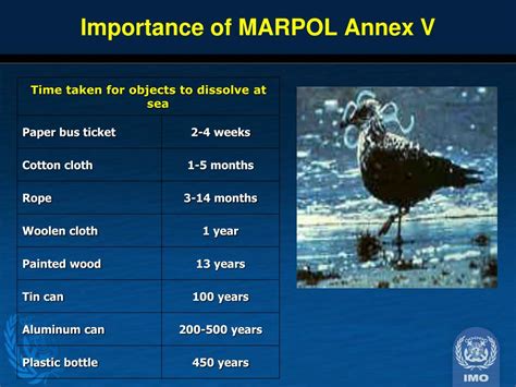 PPT - MARPOL Annex V – Special Area Provisions for the Wider Caribbean Region PowerPoint ...