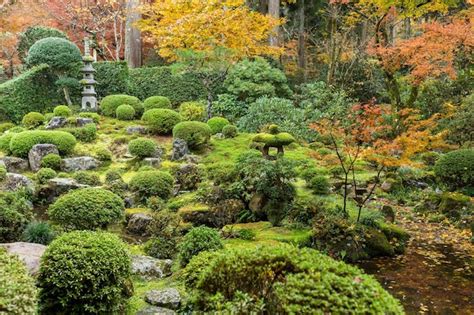 Premium Photo | Japanese garden in autumn