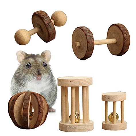 Best Hamster Toys that your pet will Love - Little Furry Pets