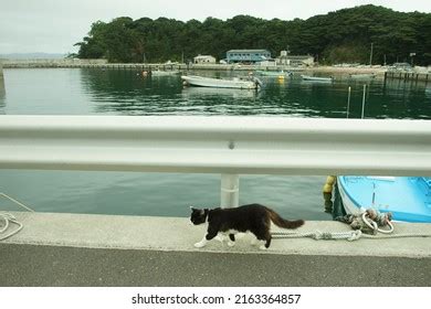 345 Tashirojima Island Images, Stock Photos, 3D objects, & Vectors ...