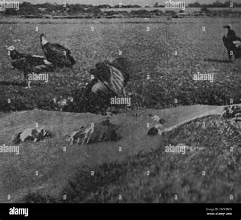 Bengal famine of 1943 Black and White Stock Photos & Images - Alamy