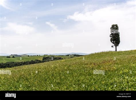 Crete senesi landscape,Tuscany,Italy.2018 Stock Photo - Alamy