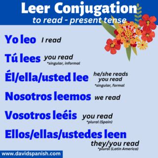 Leer Conjugation: How to Conjugate to Read in Spanish