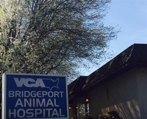 VCA BRIDGEPORT ANIMAL HOSPITAL - Updated December 2024 - 28 Photos & 21 Reviews - 1251 Ranck ...