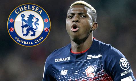 Should Chelsea Sign Nigerian Striker Victor Osimhen In The Summer Transfer Window? - Chelsea Core