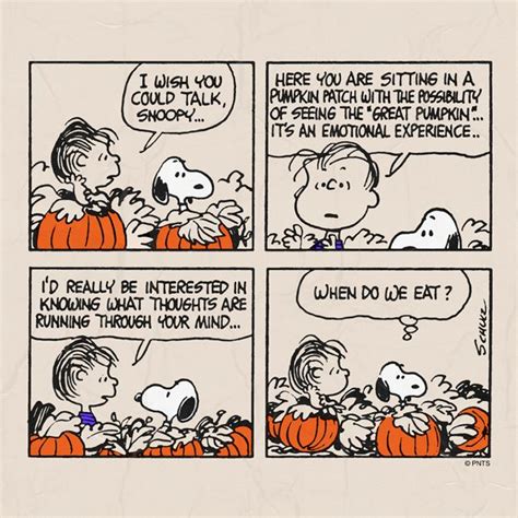 92 best images about Peanuts Comic Strips on Pinterest | Camp snoopy, Peanuts snoopy and The peanuts