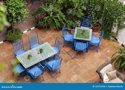 Typical Patio in Andalusia, Seville, 2014 Stock Photo - Image of leaf, relaxation: 134757690