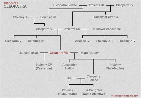 Cleopatra Family Tree