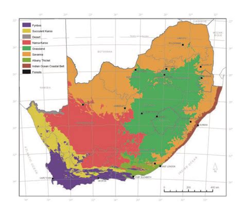 south africa biomes map | Biomes of south africa, Biomes, South africa