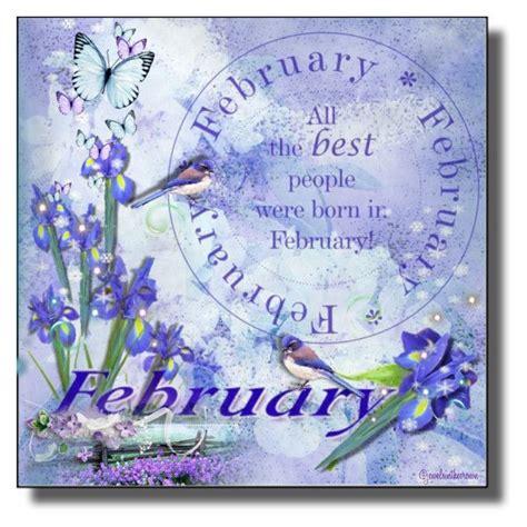 February Birthday Quotes - ShortQuotes.cc