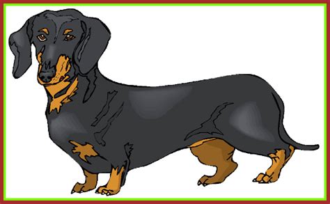 Dachshund Vector Art at GetDrawings | Free download