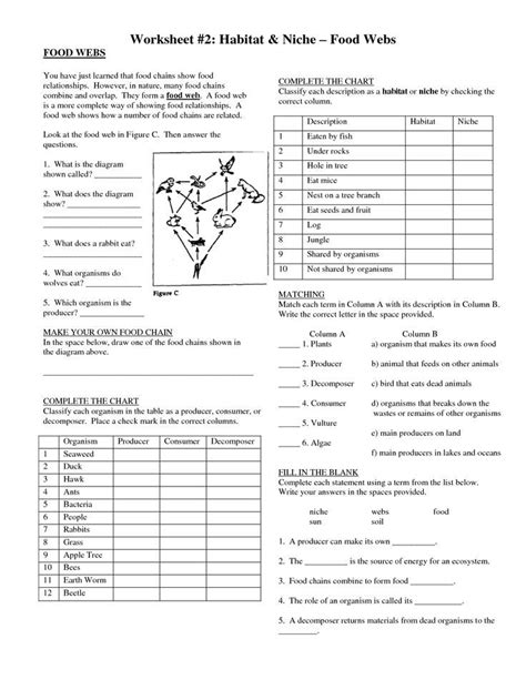 habitat niche ecosystem graphic organizer - Google Search | Teaching biology, Food web, Social ...