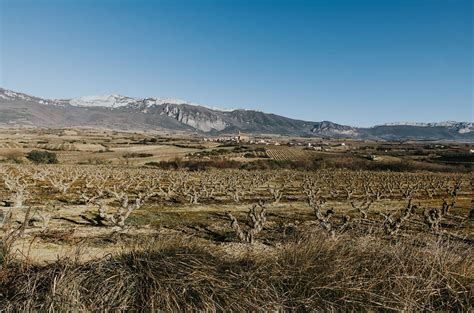 La Rioja Alta expands with ‘artisanal vineyard’ deals - Decanter