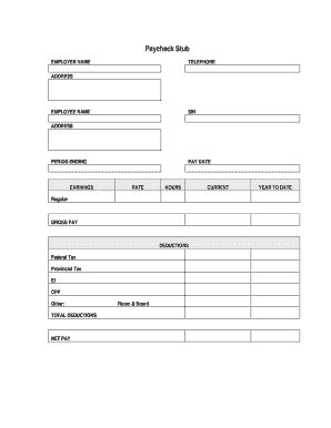 Paycheck Stub - Fill and Sign Printable Template Online