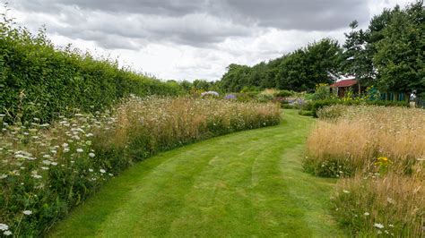 The 7 Best English Gardens To Visit For Meadow-Style Planting — Verve Garden Design