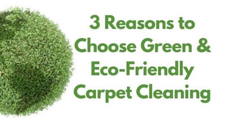 3 Reasons to Choose Eco-Friendly Carpet Cleaning | K & C Chem-Dry