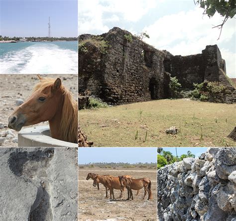 Full Day Tour of Delft Island Sri Lanka