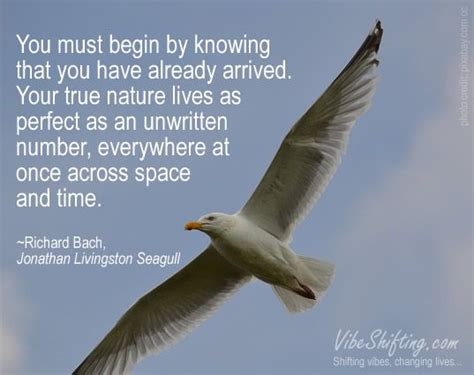 Jonathan Livingston Seagull #quote | Jonathan livingston seagull, Jonathan livingston seagull ...