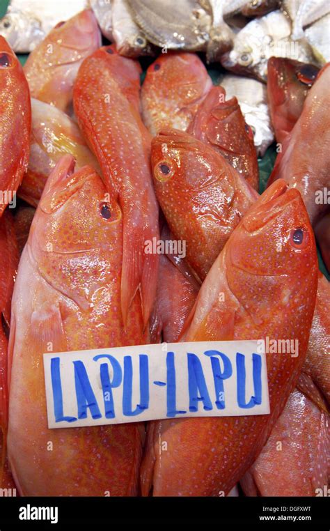 Lapu lapu hi-res stock photography and images - Alamy