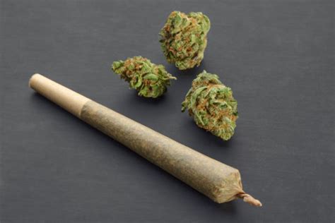 Spliff vs Joint - Everything You Need To Know | Buy Low Green