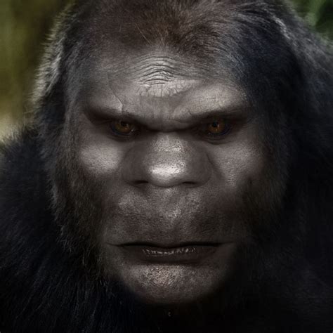 Bigfoot Face 78 | Bigfoot: An uncatalogued species of primate. Possibly a relict hominoid ...