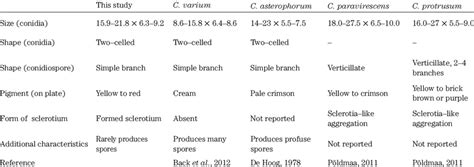 Comparison of the morphological characteristics of the isolated fungi... | Download Scientific ...