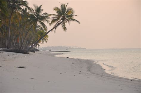 Beach,india,lakshadweep,sunset,free pictures - free image from needpix.com