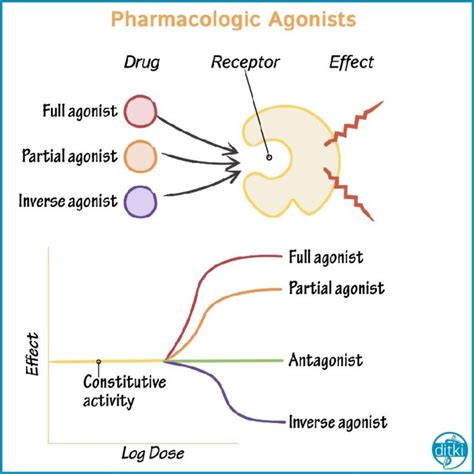 Here's a flashcard from one of our newest Pharmacology tutorials! Click the link in our bio to ...