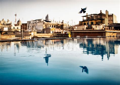 Barcelona Rooftop Pool Stock Photo | Royalty-Free | FreeImages