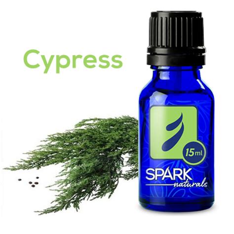 Cypress | Essential Oil Direct