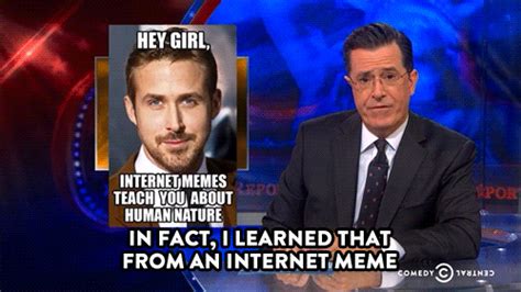 Internet Memes GIFs - Get the best GIF on GIPHY