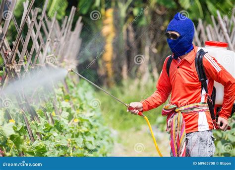 Spraying pesticide stock photo. Image of poison, farm - 60965708
