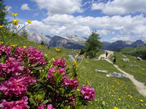 Hiking in Val Gardena | Gröden www.valgardena.it | Dolomites, Natural ...