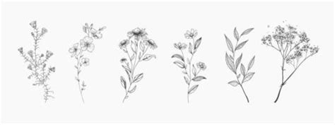 Wildflowers Vector Art, Icons, and Graphics for Free Download