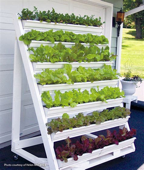 Grow Greens in this DIY Vertical Garden | Garden Gate