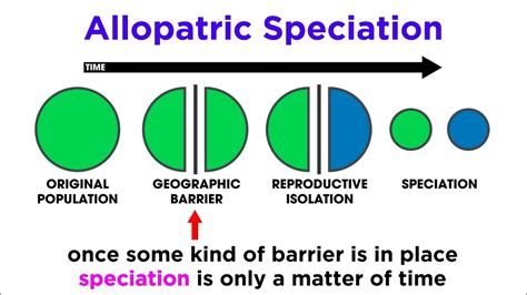 Parapatric Speciation